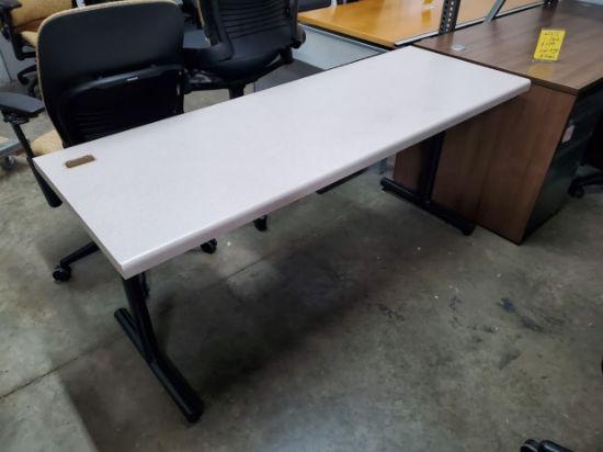 Picture of Training Table 24x66