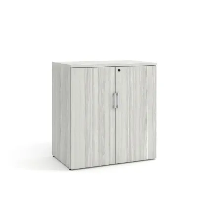 Picture of Modern Office Storage Cabinet with Locking Doors and Adjustable Shelf