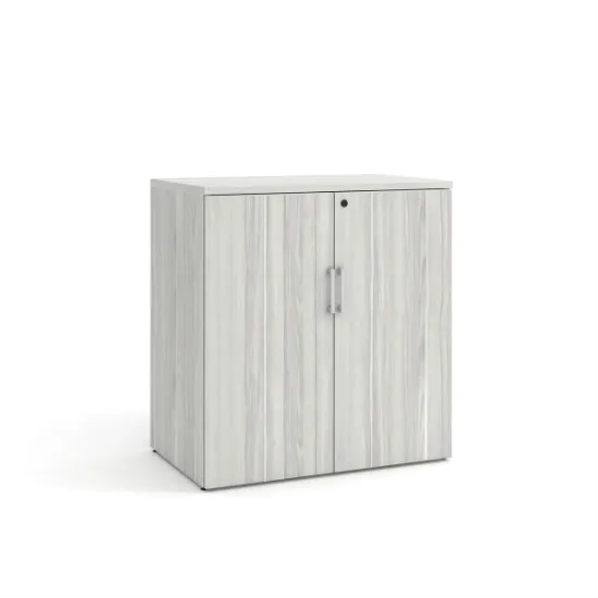 Picture of Modern Office Storage Cabinet with Locking Doors and Adjustable Shelf