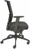 Black mesh office chair with adjustable lumbar support