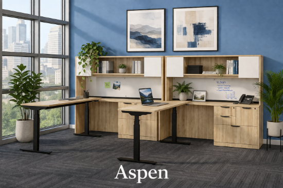 Picture of Two Person Height Adjustable Desk | Ergonomic Sit-Stand Workstation  