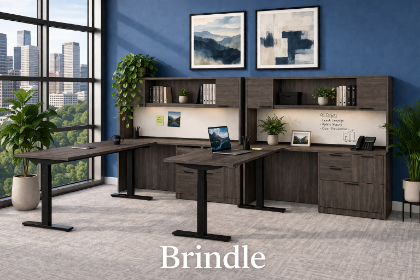 Picture of 2-Person Adjustable Height Desk | Ergonomic Sit-Stand Workstation