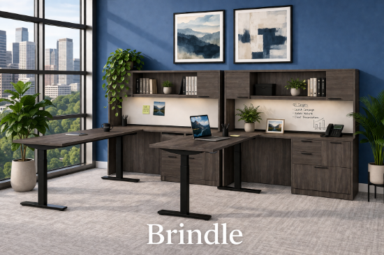 Picture of 2-Person Adjustable Height Desk | Ergonomic Sit-Stand Workstation