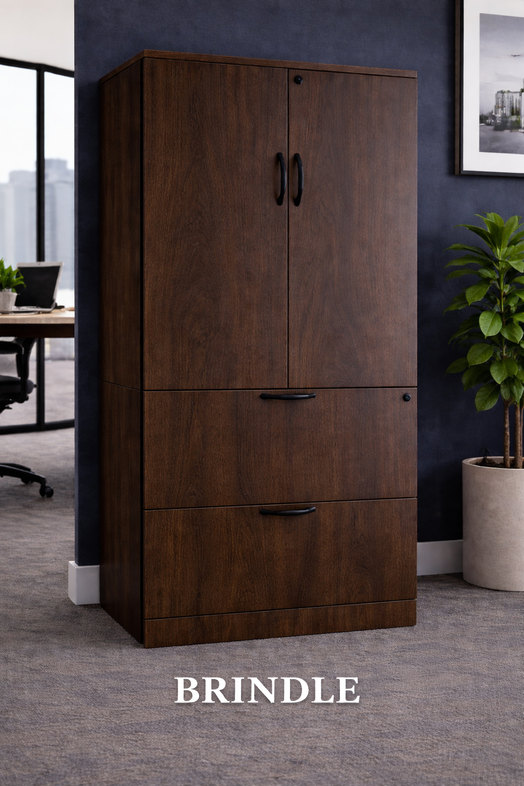 Lateral File Cabinet with Upper Storage | Office Filing Cabinet