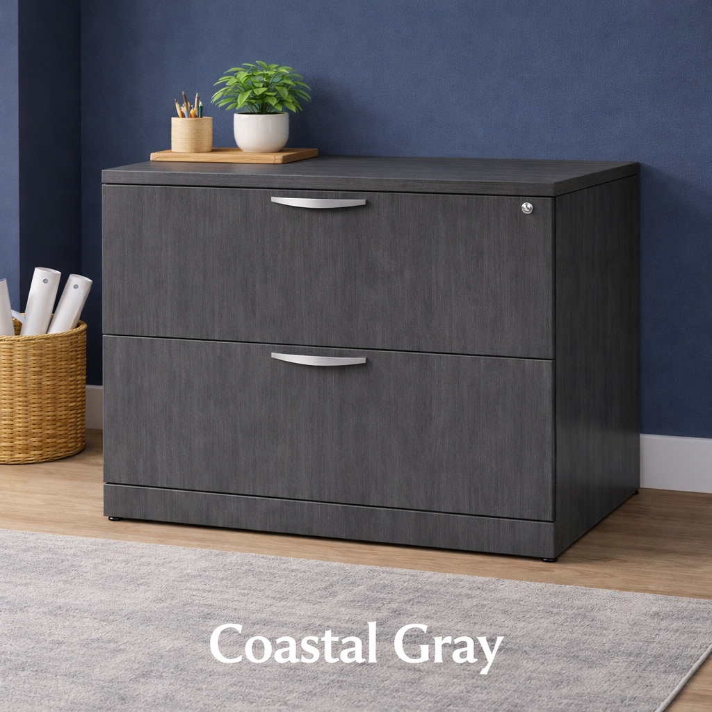 2 Drawer Lateral File Cabinet with Lock | Office Storage Cabinet
