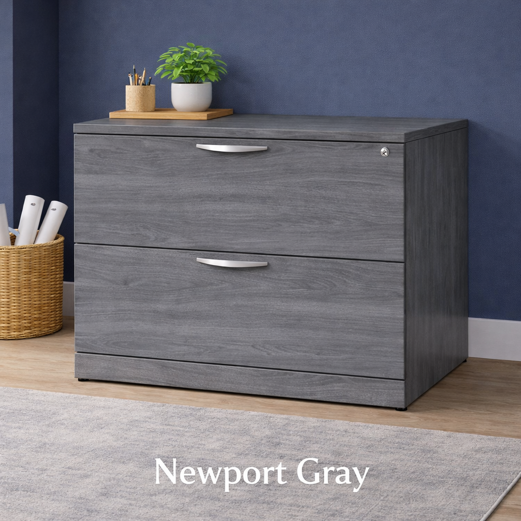 2 Drawer Lateral File Cabinet with Lock | Office Storage Cabinet