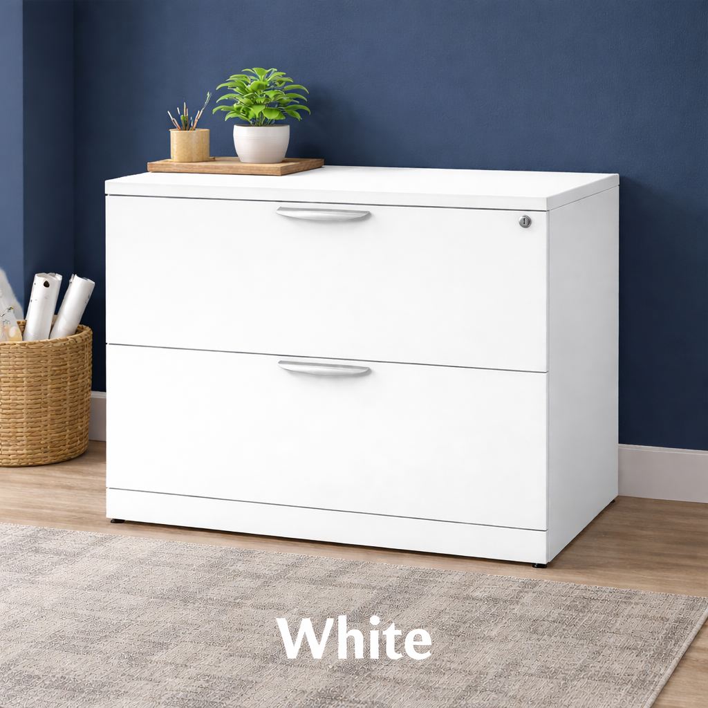 2 Drawer Lateral File Cabinet with Lock | Office Storage Cabinet