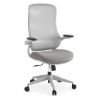 Picture of Ergonomic High Back Office Chair – Mesh Back Swivel Desk Chair with Flip-Up Arms & Tilt Control