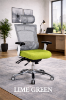 Ergonomic Mesh Desk Chair with Lumbar Support & Adjustable Headrest
