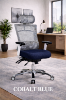 Ergonomic Mesh Desk Chair with Lumbar Support & Adjustable Headrest