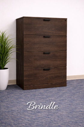 Picture of 4 Drawer Lateral File Cabinet with Lock – Office Storage Filing Cabinet 
