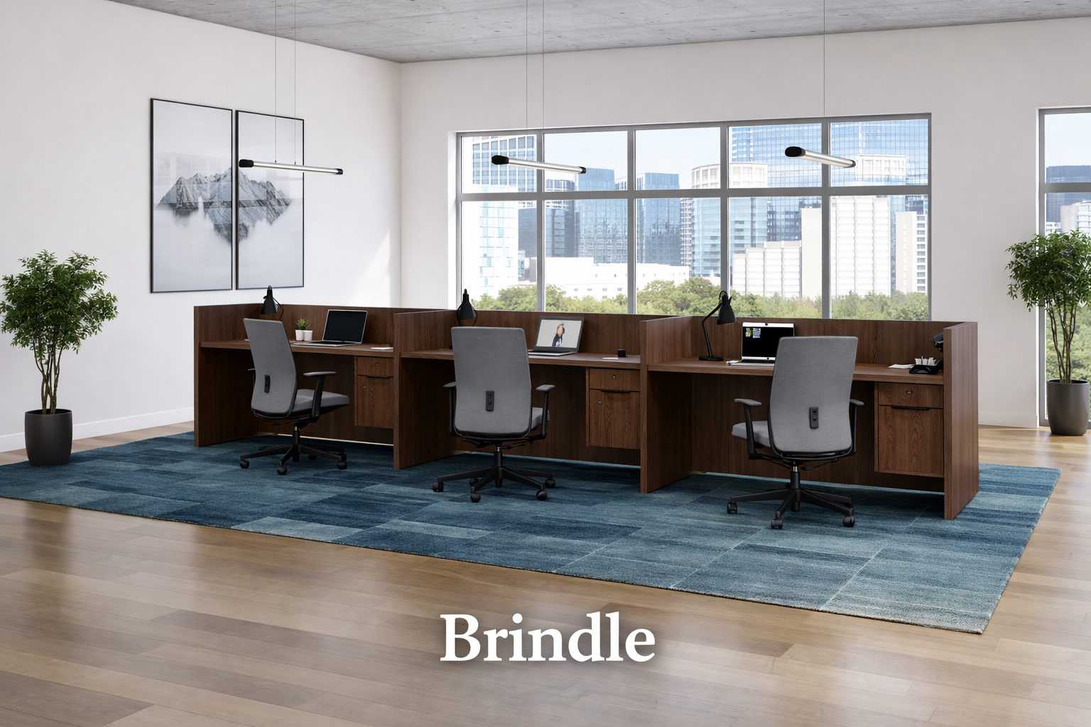 3 Person Workstation Desk with Divider Panels | Choice Office Furniture