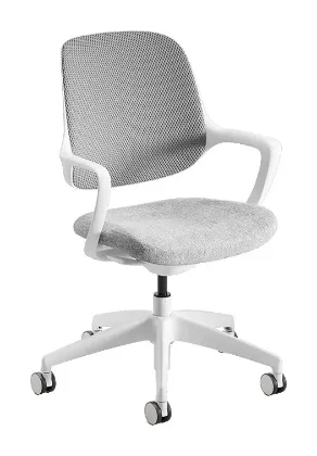 Picture of Mesh Back Office Chair with Adjustable Height & Tilt Control-Niro White and Gray