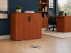 Picture of Small Office Storage Cabinet with Locking Doors and Adjustable Shelf