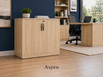 Picture of Small Office Storage Cabinet with Locking Doors and Adjustable Shelf