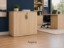 Picture of Small Office Storage Cabinet with Locking Doors and Adjustable Shelf