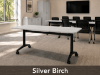 Picture of Premium Flip Top Nesting Training Table 