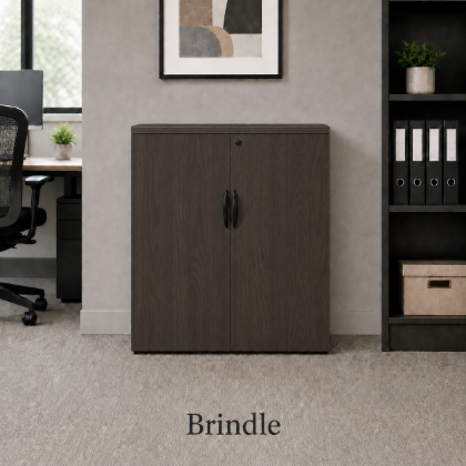 Picture of Modern Office Storage Cabinet with Locking Doors and Adjustable Shelf