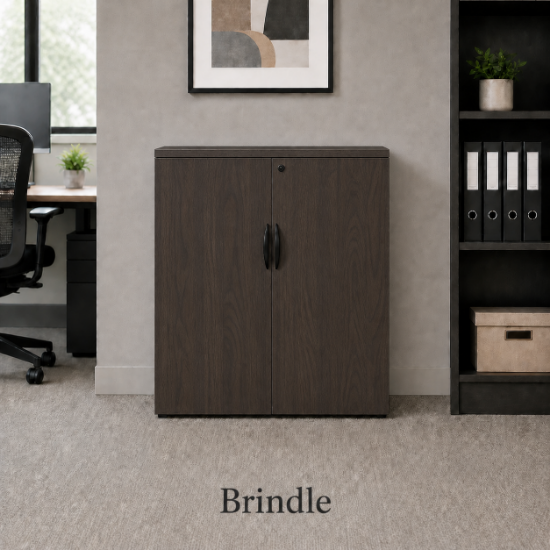 Picture of Modern Office Storage Cabinet with Locking Doors and Adjustable Shelf