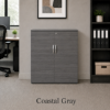 Picture of Modern Office Storage Cabinet with Locking Doors and Adjustable Shelf