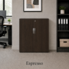 Picture of Modern Office Storage Cabinet with Locking Doors and Adjustable Shelf