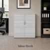 Picture of Modern Office Storage Cabinet with Locking Doors and Adjustable Shelf