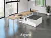 Picture of Executive 2 Person Desk with Storage