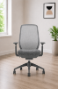 Picture of High Back Ergonomic Office Chair