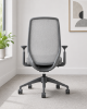 Picture of High Back Ergonomic Office Chair