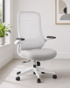 Picture of Ergonomic High Back Office Chair with Headrest, Mesh Back and 4D Arms  