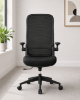 Picture of Ergonomic High Back Office Chair with Headrest, Mesh Back and 4D Arms 