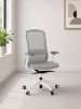 Picture of Ergonomic Mesh Office Chair with 4D Arms & Lumbar Support