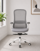 Picture of Ergonomic Mesh Office Chair with 4D Arms & Lumbar Support