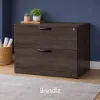 2 Drawer Lateral File Cabinet with Lock – Office Filing Storage Cabinet