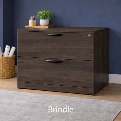 2 Drawer Lateral File Cabinet with Lock – Office Filing Storage Cabinet