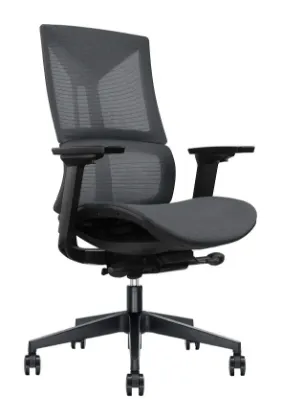 Picture of Office Chair with Lumbar Support and Adjustable Arms