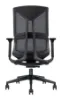 Picture of Office Chair with Lumbar Support and Adjustable Arms