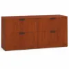 Picture of Double Lateral Filing Cabinet Credenza with Locking Drawers
