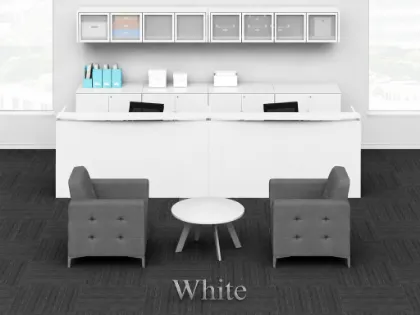Double reception desk with transaction counters