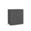 Picture of Modern Office Storage Cabinet with Locking Doors and Adjustable Shelf