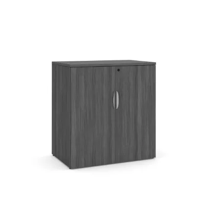 Picture of Modern Office Storage Cabinet with Locking Doors and Adjustable Shelf
