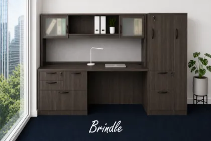 Executive Credenza Desk with Hutch, Wardrobe Storage and Workspace Organizer