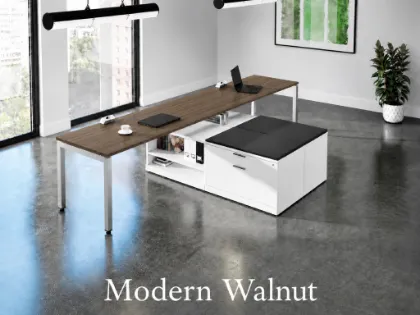 Executive 2 Person Desk with Storage