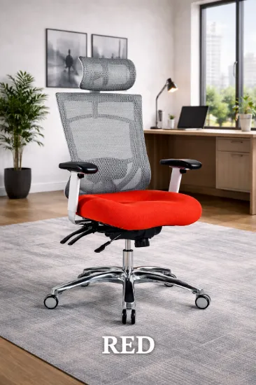 Ergonomic Mesh Desk Chair with Lumbar Support & Adjustable Headrest