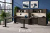 2-Person Adjustable Height Desk | Ergonomic Sit-Stand Workstation