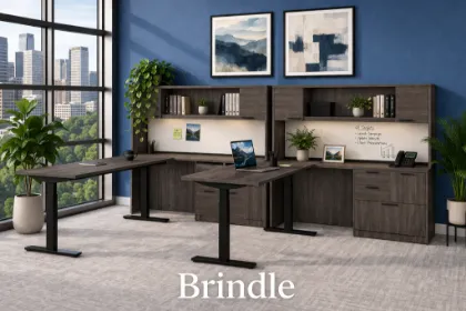 2-Person Adjustable Height Desk | Ergonomic Sit-Stand Workstation