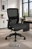 Gray Ergonomic Mesh Office Chair with Adjustable Arms and Lumbar Support  
