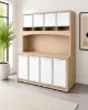 office credenza with hutch and white glass doors
