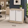 storage cabinet with glass doors