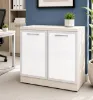 storage cabinet with glass doors